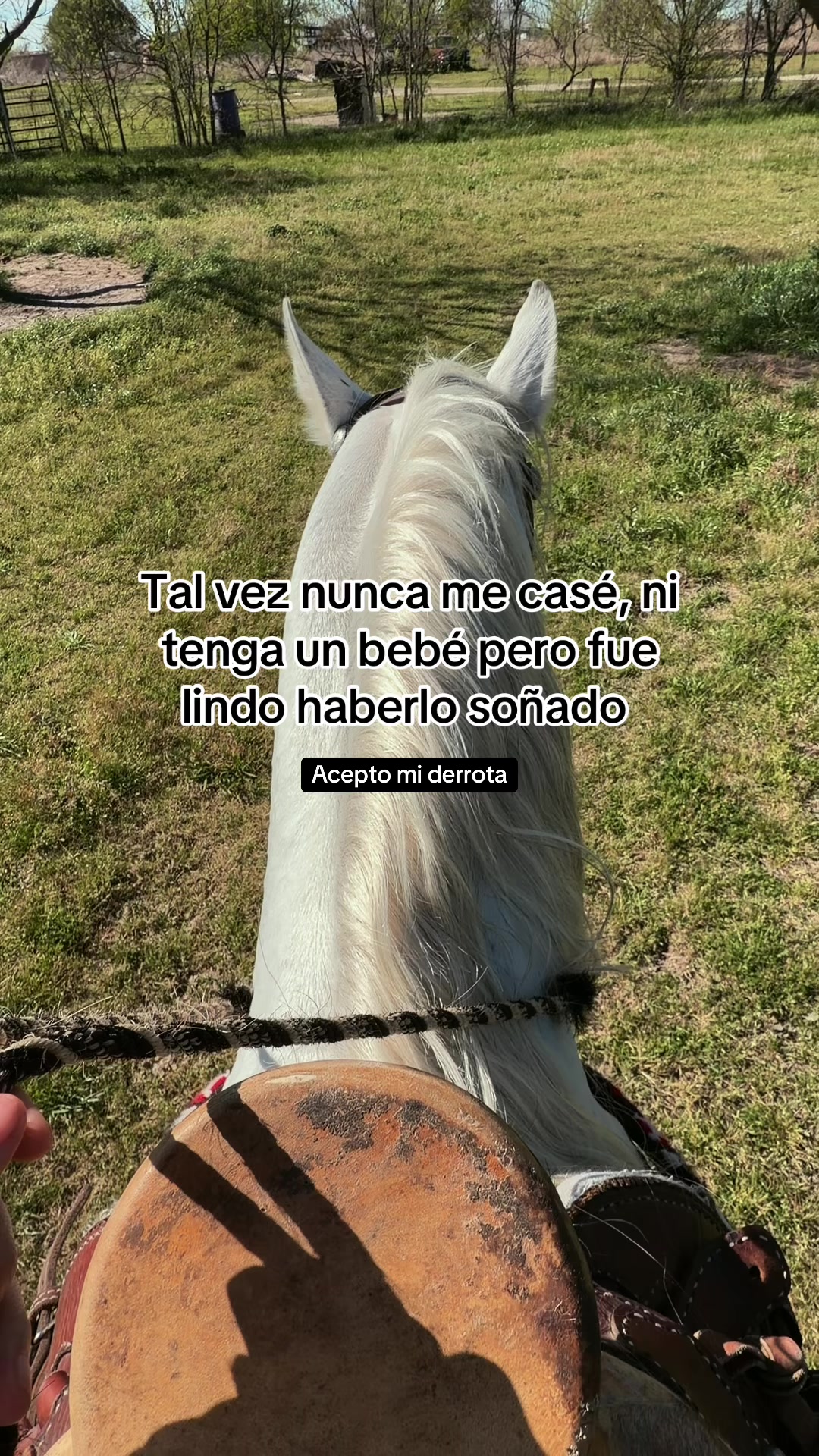 @carolinadua1103