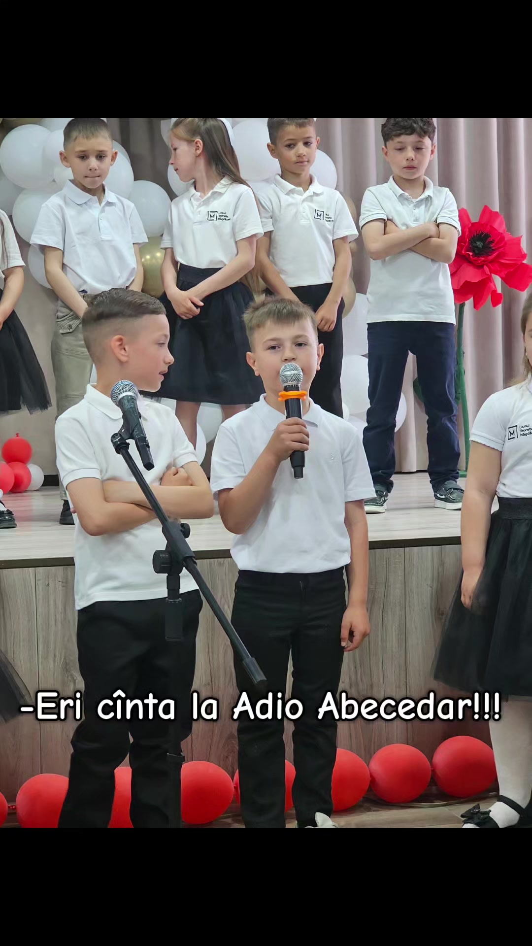@Cristina Voloșenco