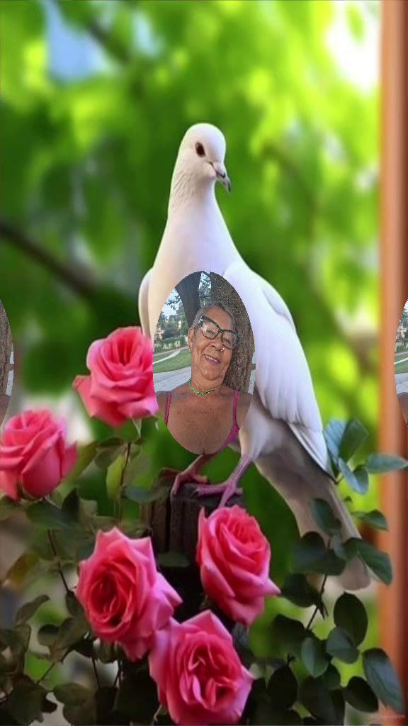 @fatima cabral tik tok