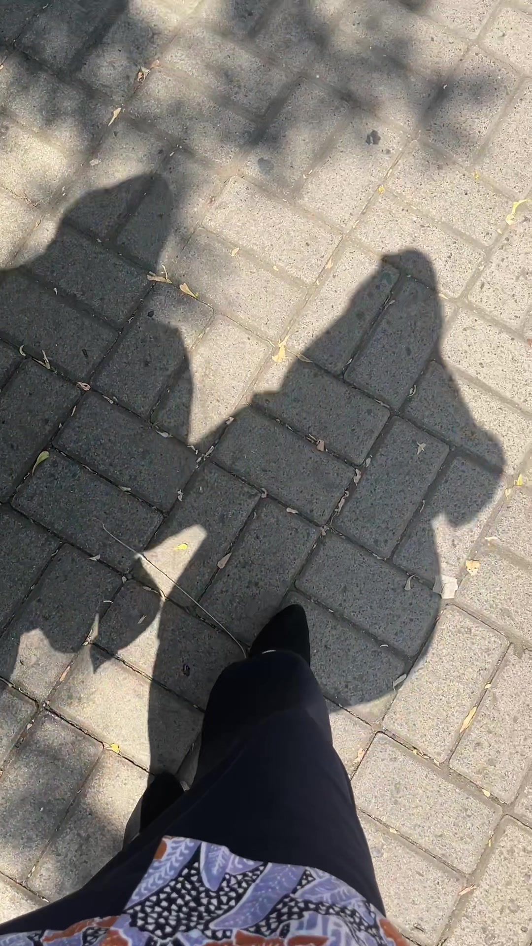 @rorocantikk