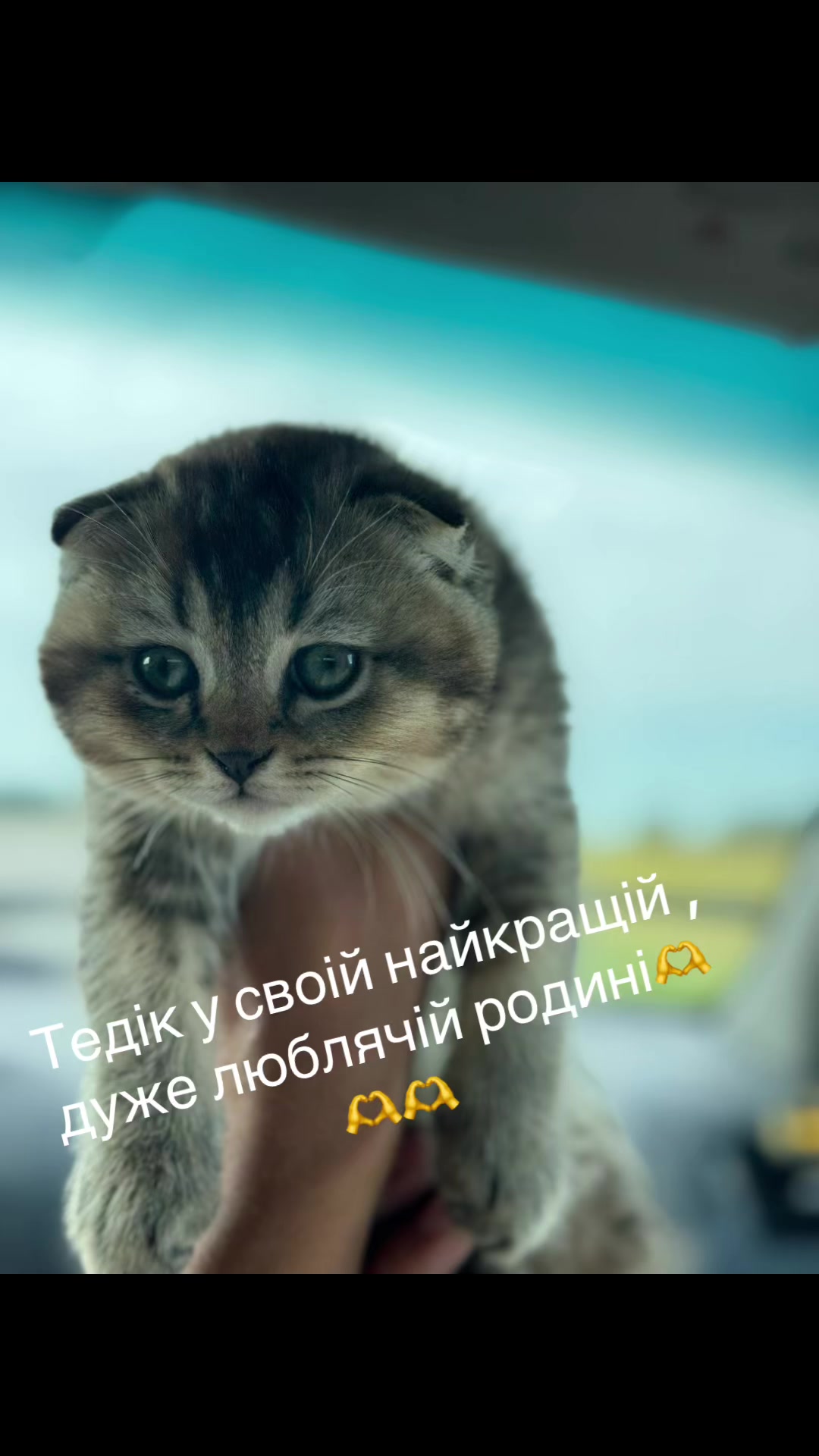 @Джессі-Річчі