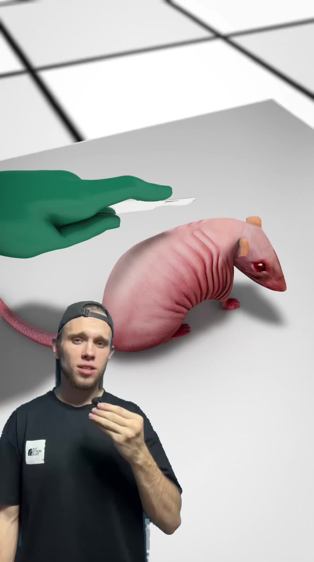 @FactТяу