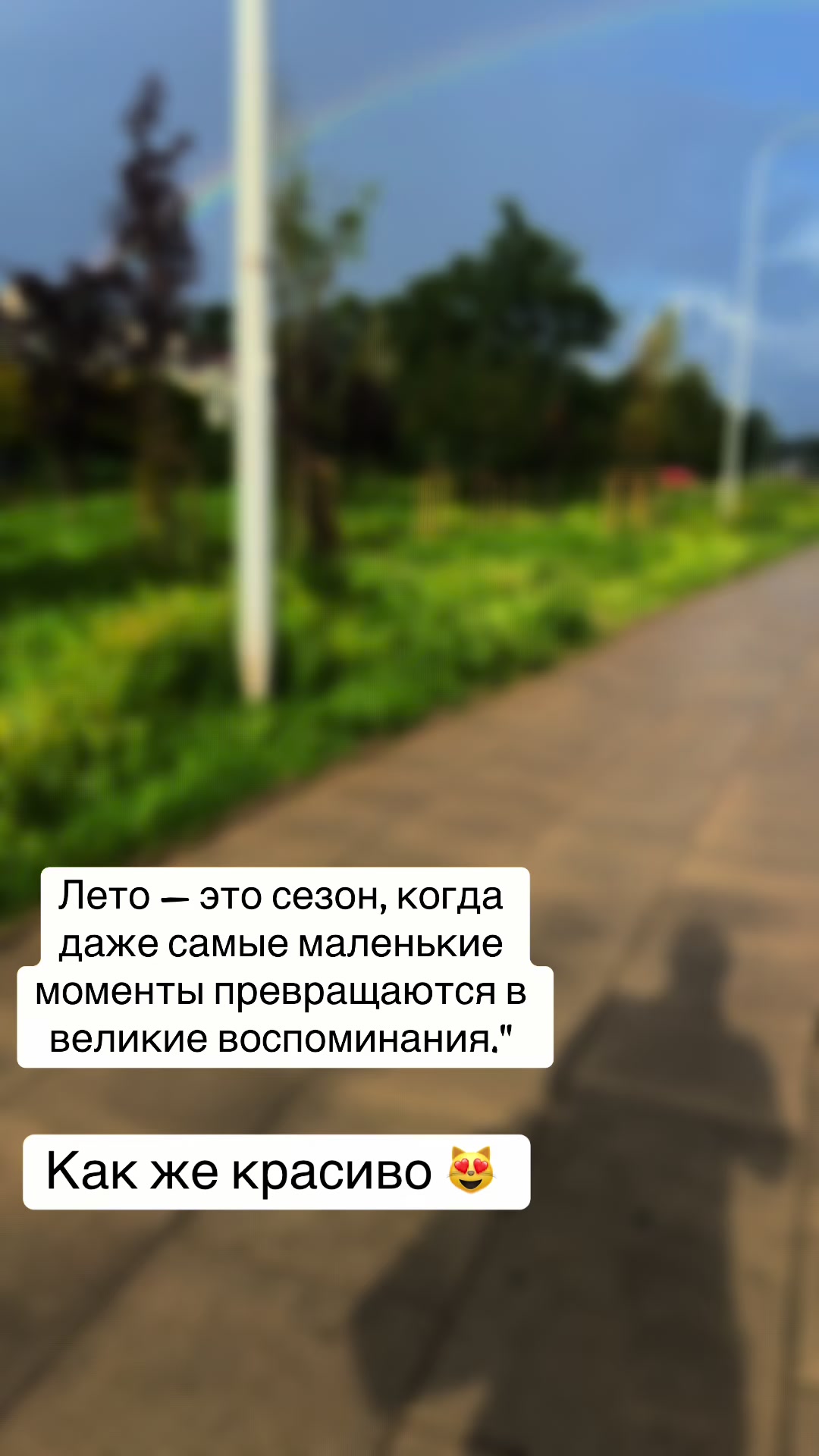 @Viktoriia Makhartova