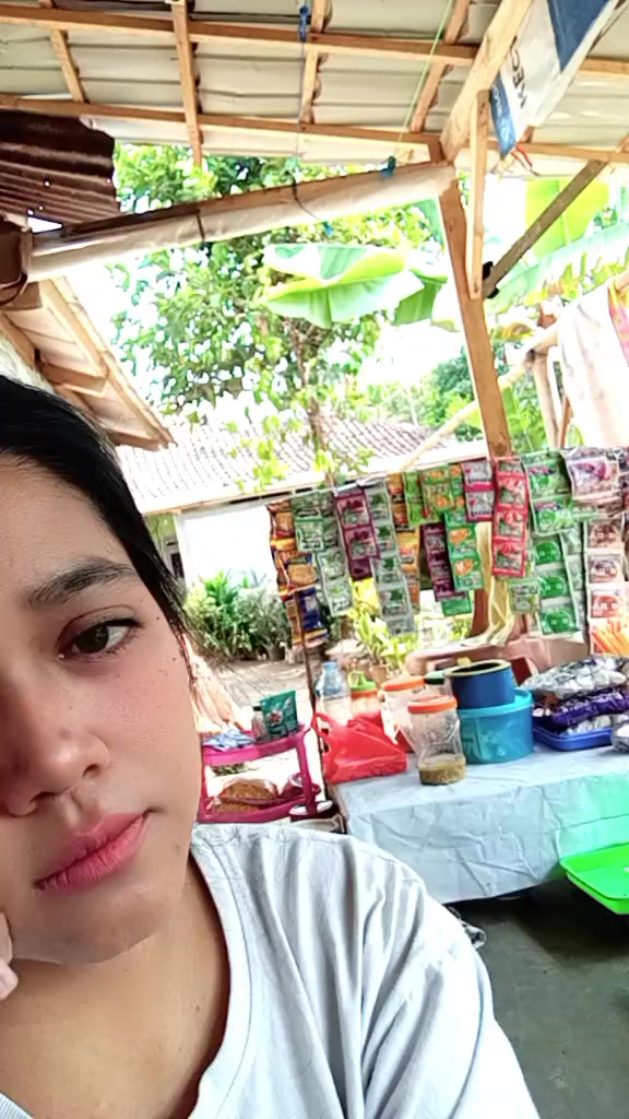 @anisa aulia