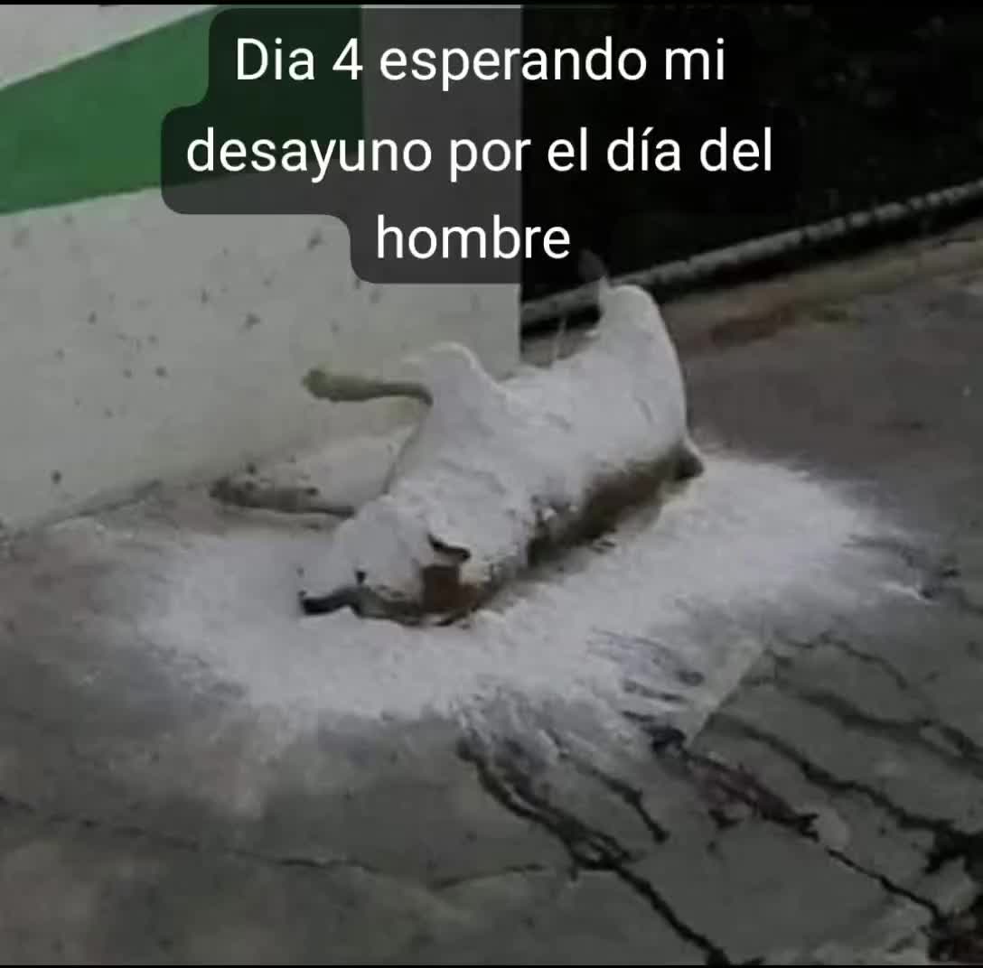 @El_Red