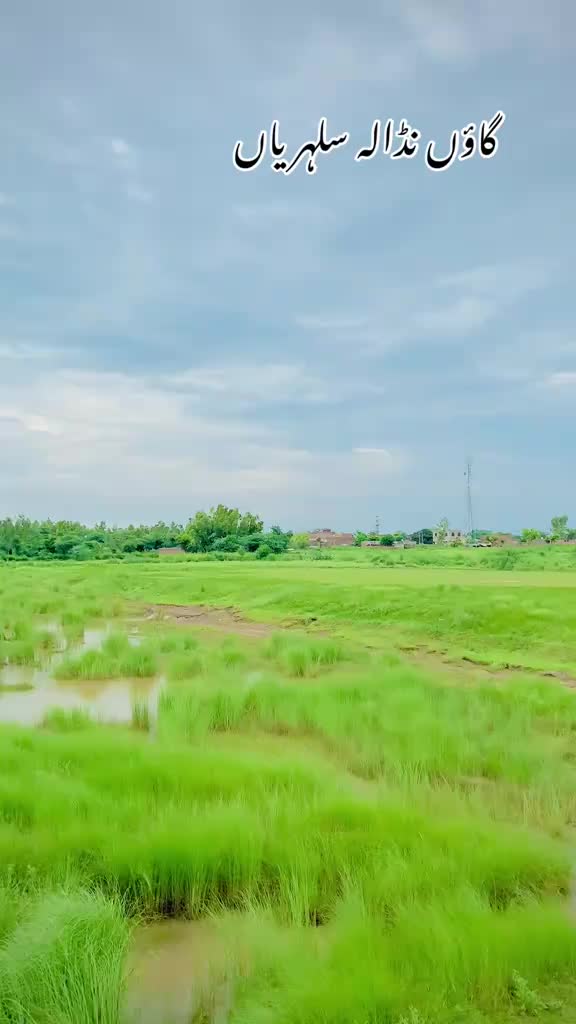 @Rana_shahid07
