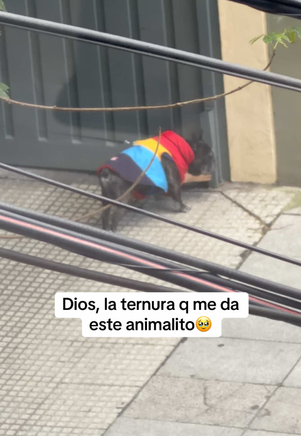 @Gonza ur⭐️