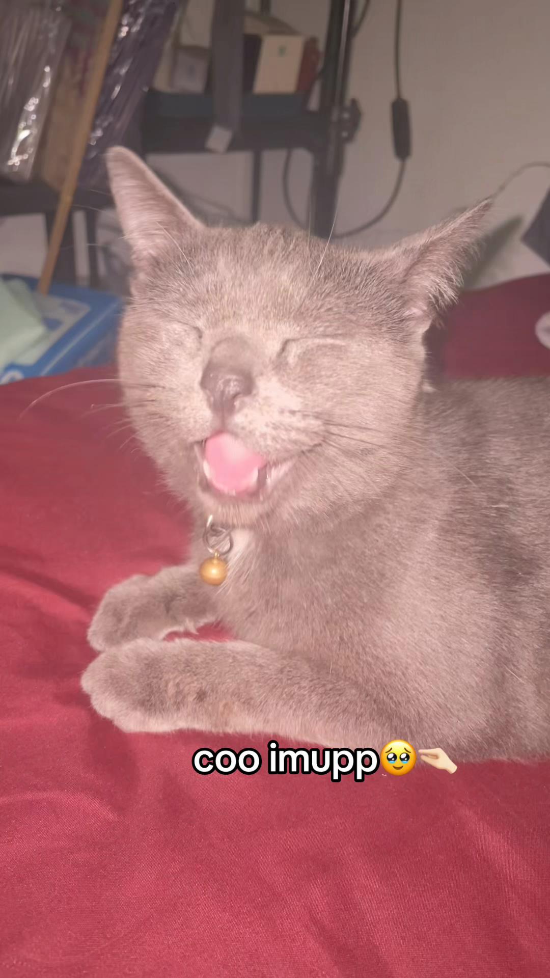@insta: mutyadeef