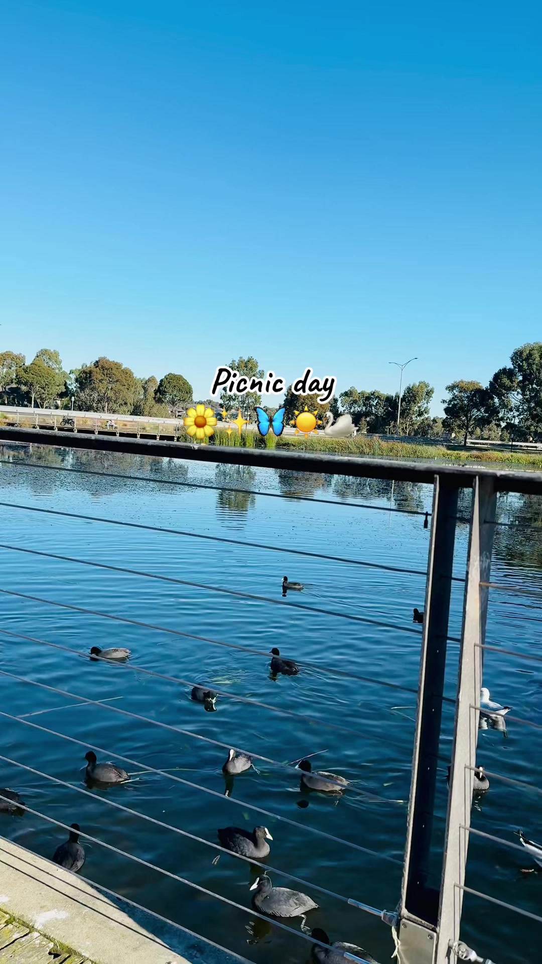 @🇦🇺𝗙𝗮𝘁𝗶𝗺𝗮 ᥫ᭡ .