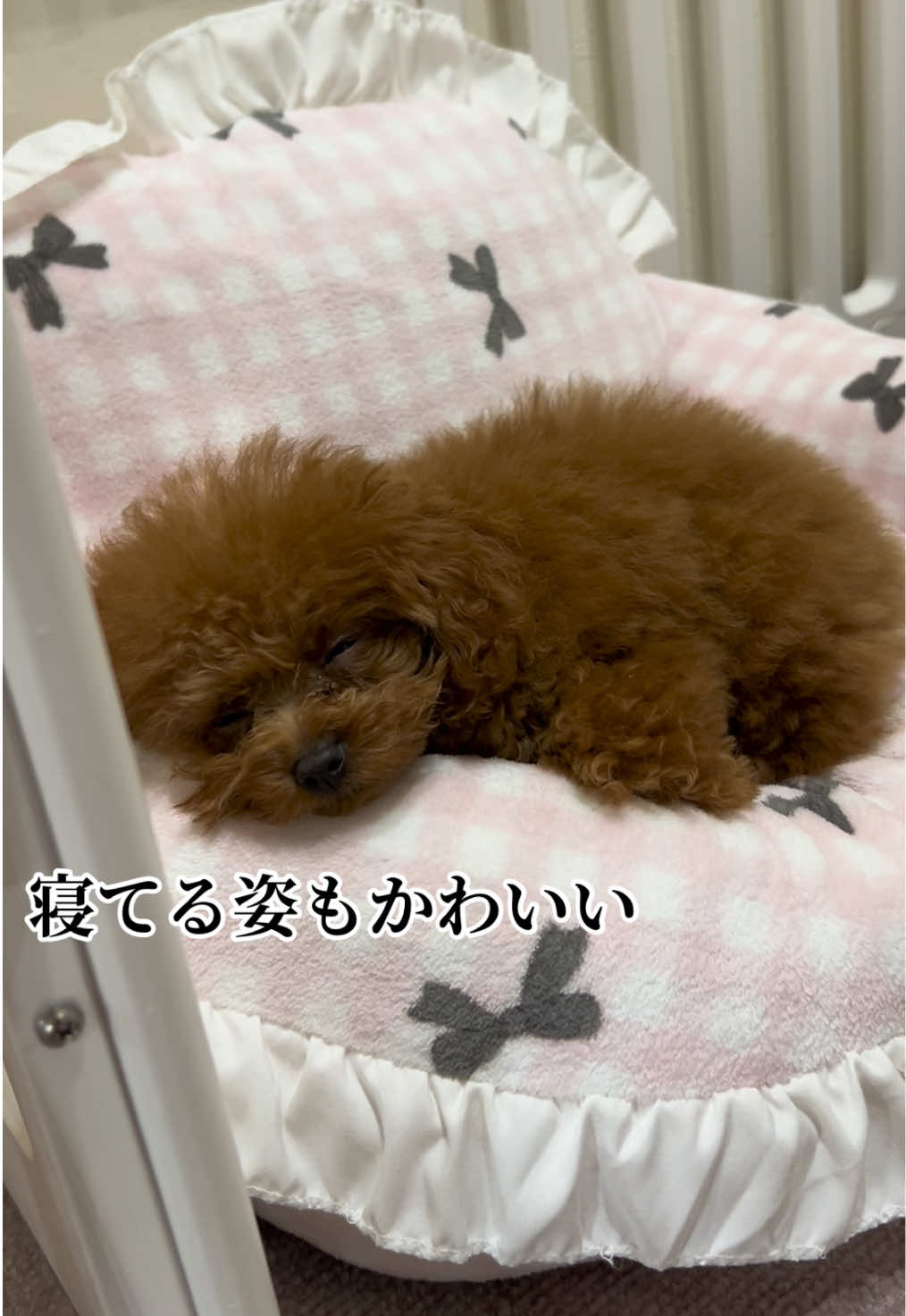 @もこ