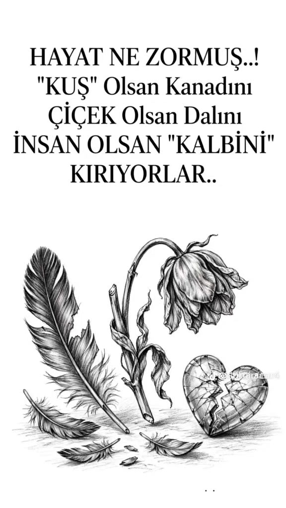 @k&uuml;rt kızı🌹🌹🌹🌹 Funda şhef