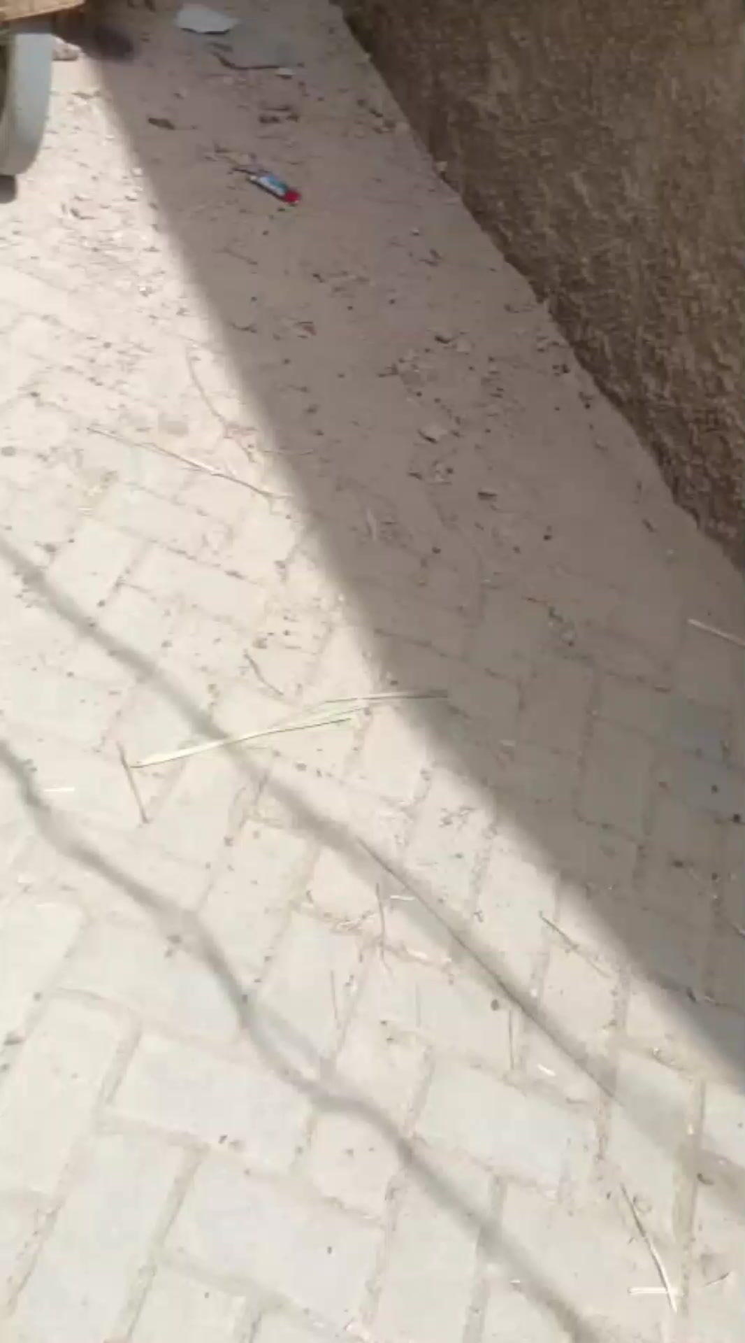@JAMALI F-J Vlogs