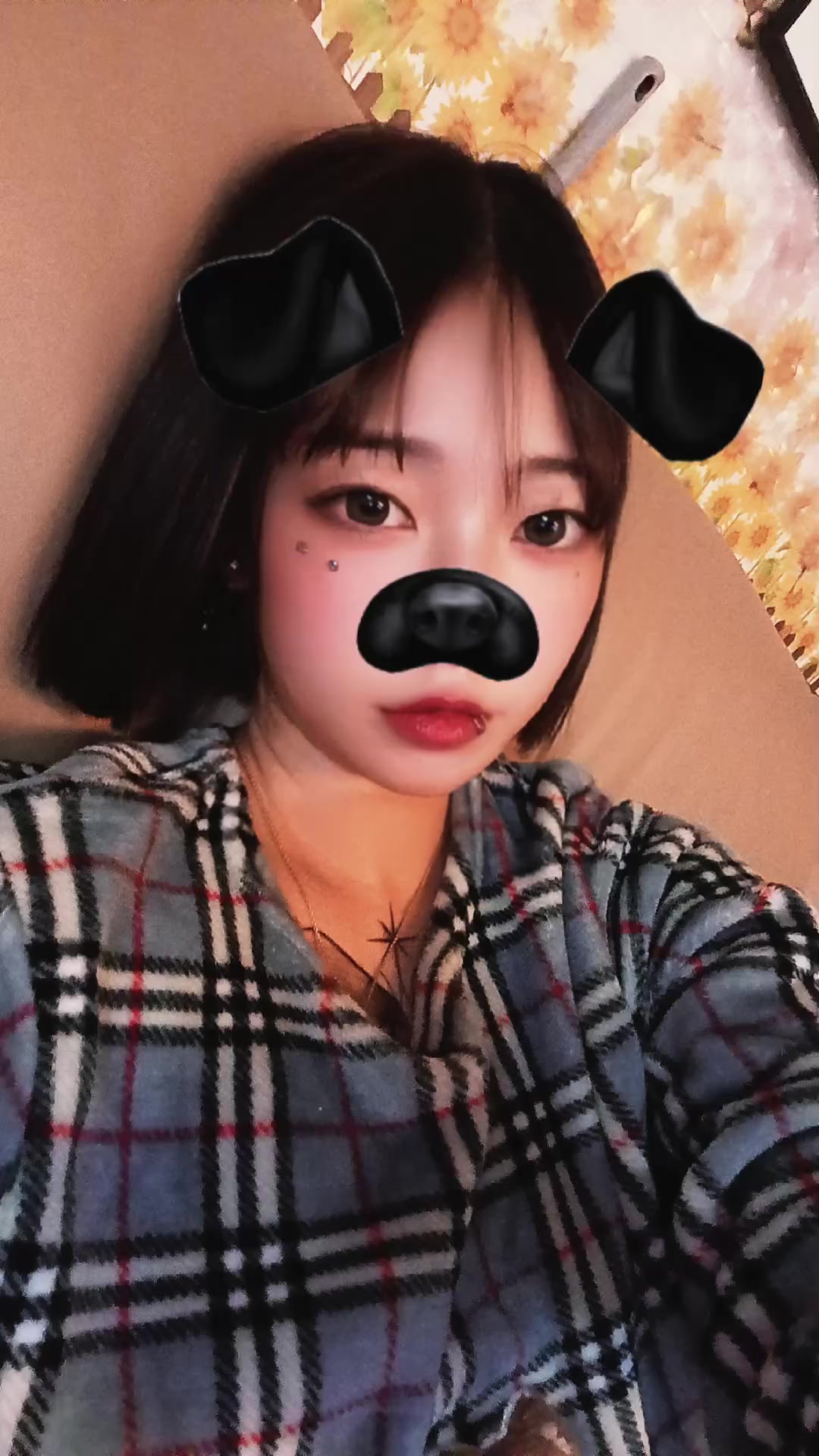 @🦓밤비-𝓑𝓪𝓶𝓫𝓲☀️