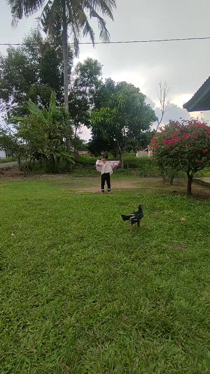 @๐๐๐๐ ๐๐๐๐ ๐