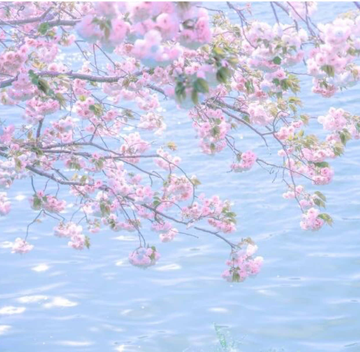 @˖ ࣪⊹ Reiko (Tsukasa’s lover)