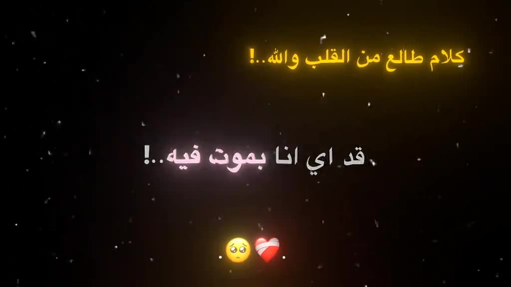 @sanfor