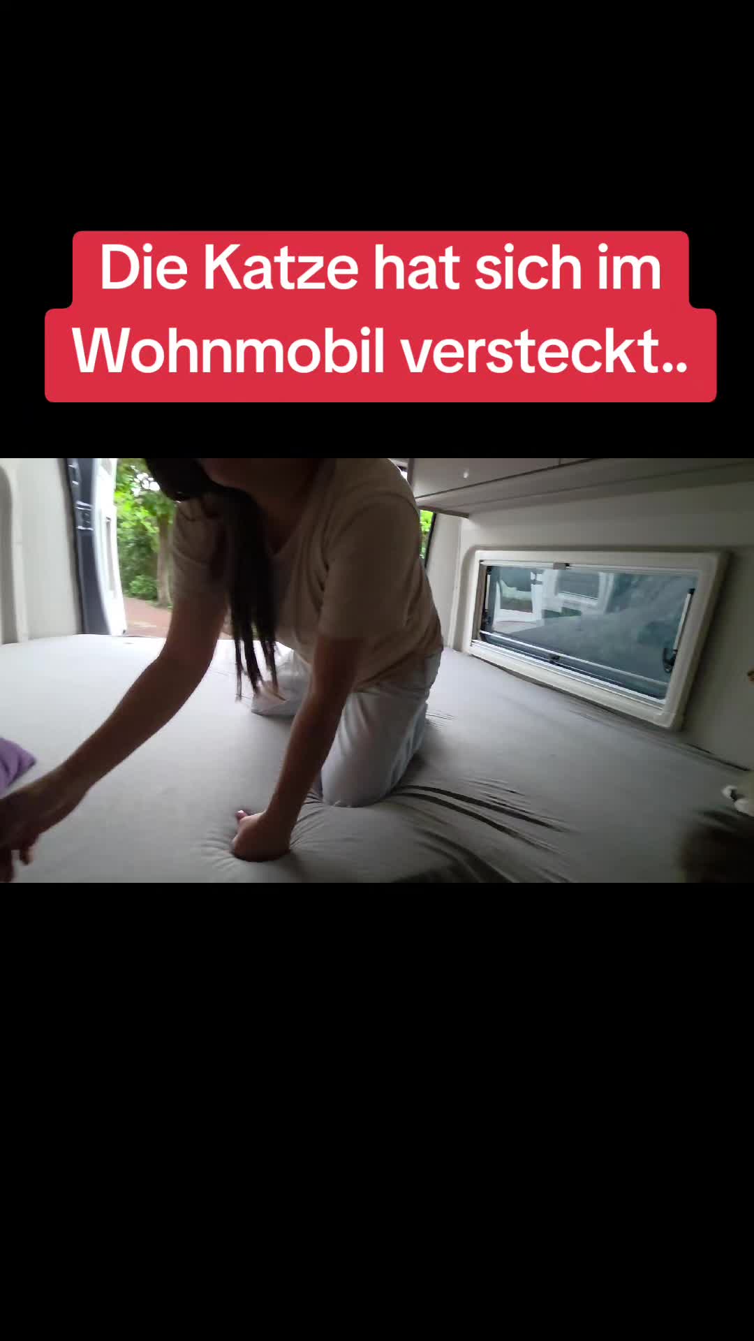 @mtcarsreal