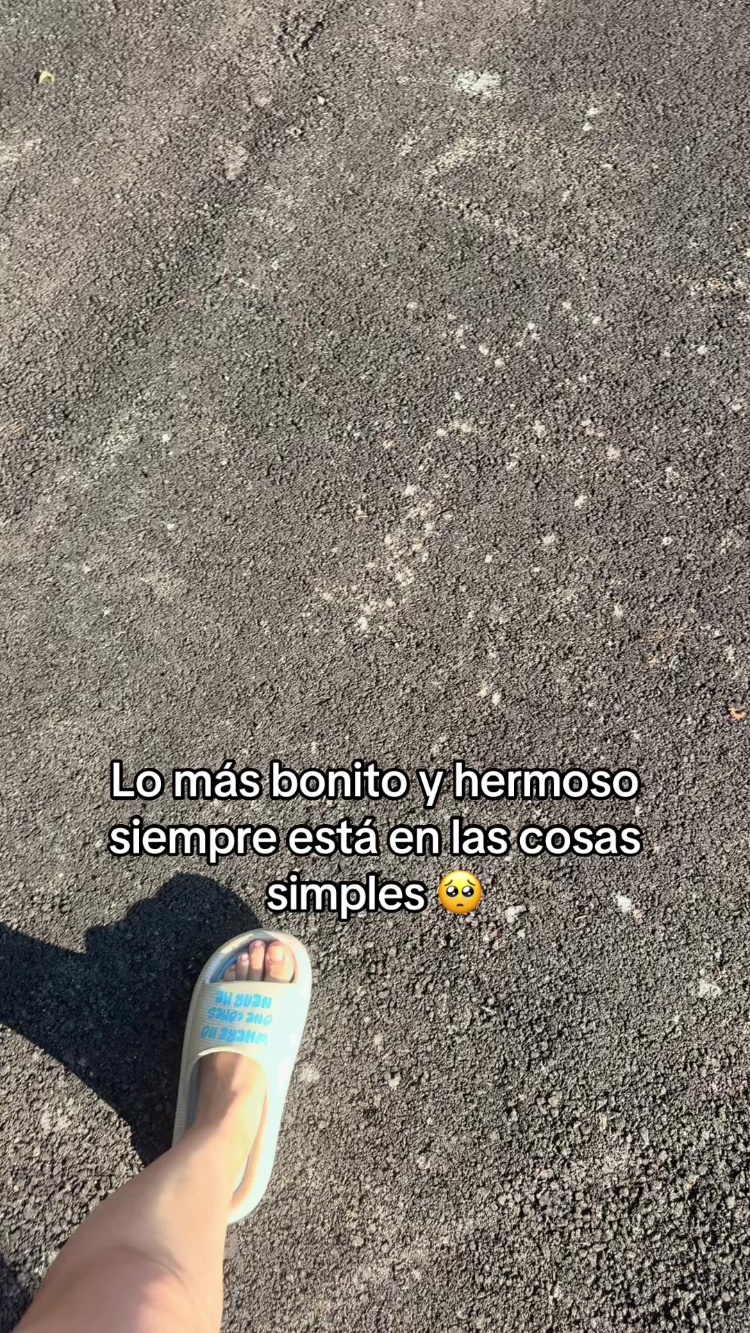 @Alejandra Castro ✨