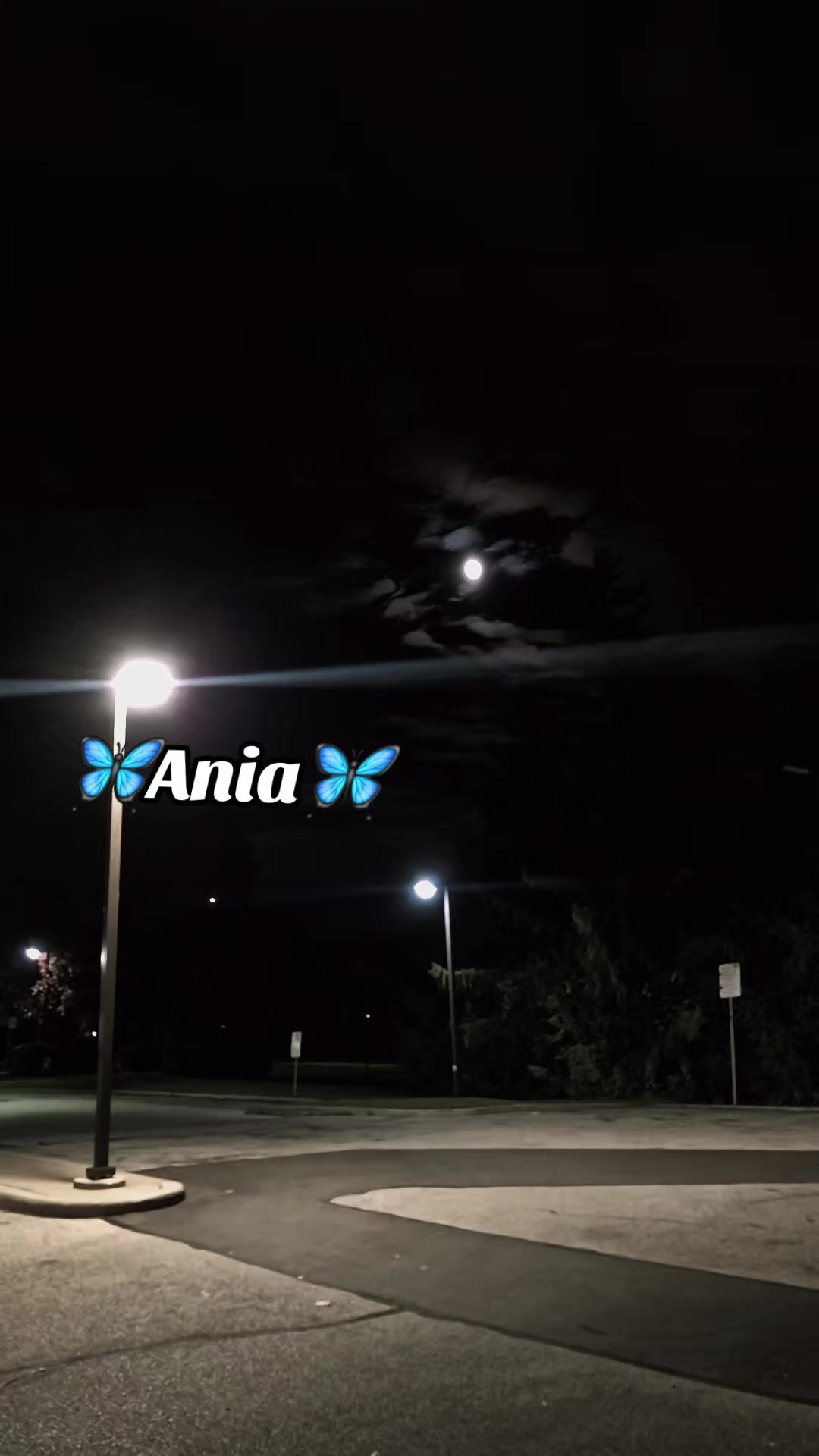 @❥𝐀𝐍𝐈𝐀𝄢