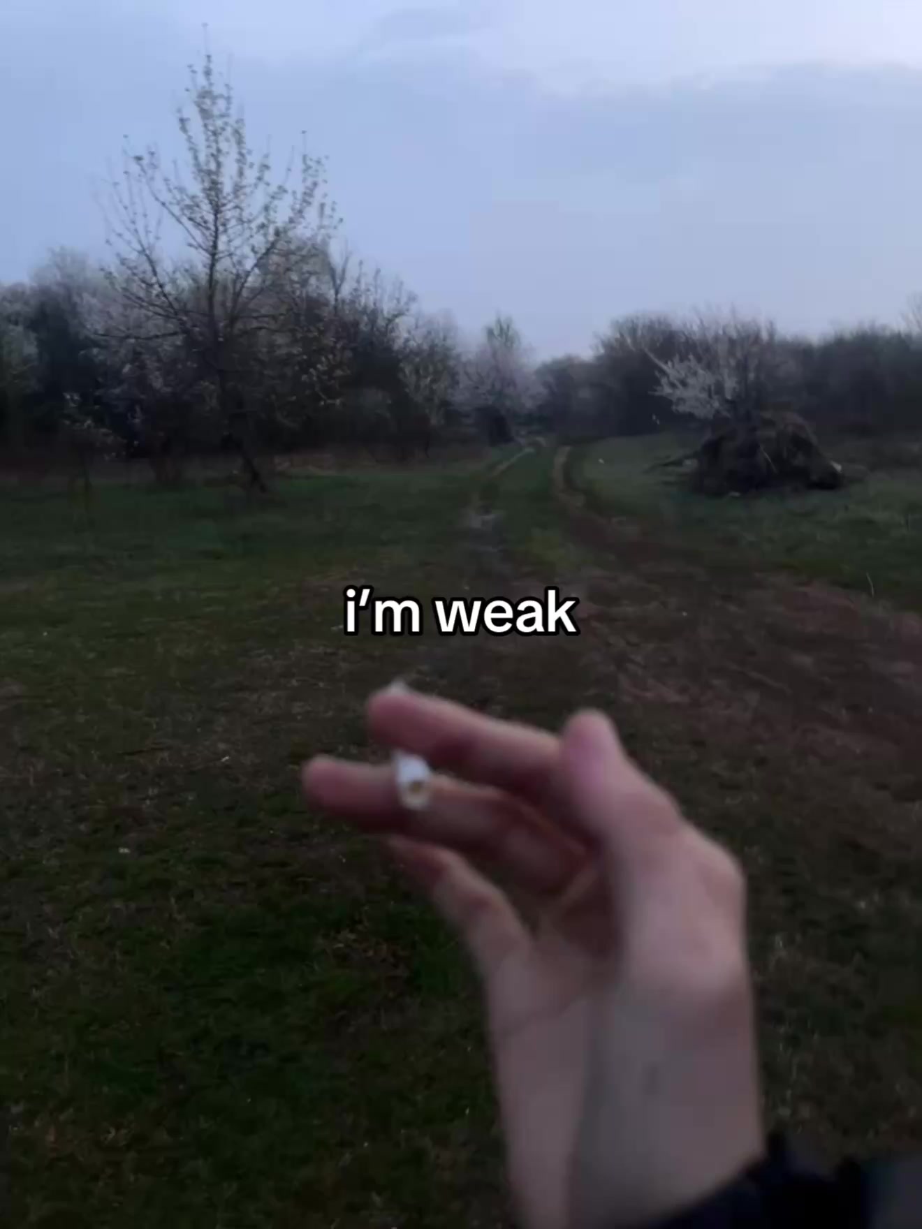 @катика