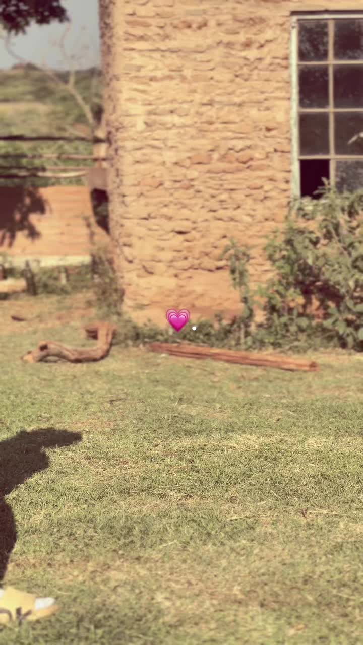 @🤍🌸Zozi🌸🤍