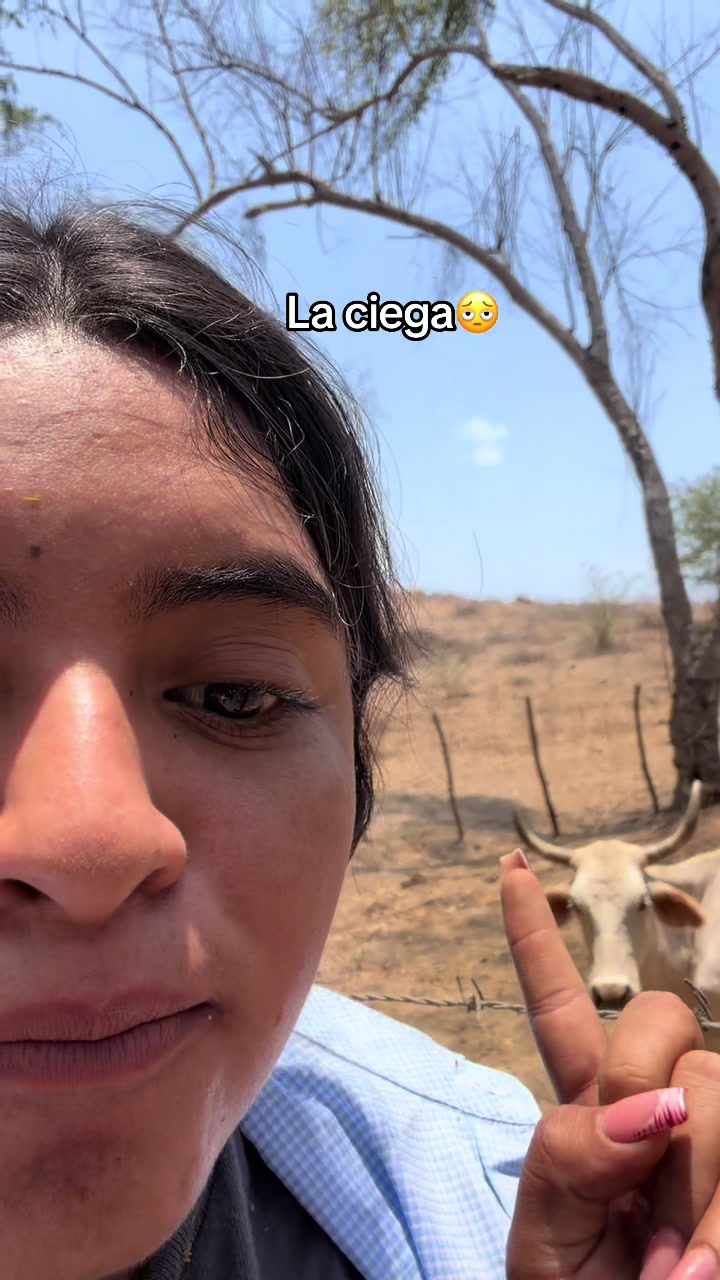@liz_alvarez42