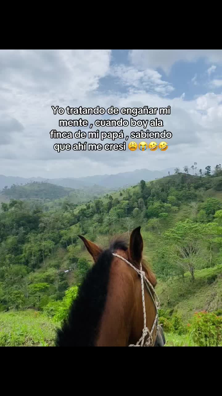@🌸☘️Ana☘️🌸