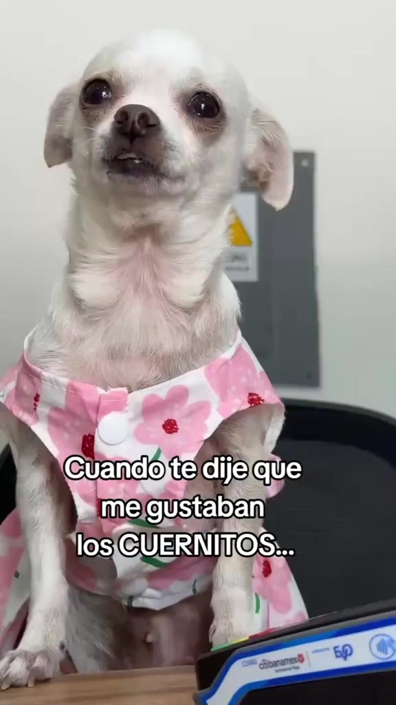 @Maria Minerva Sarabi