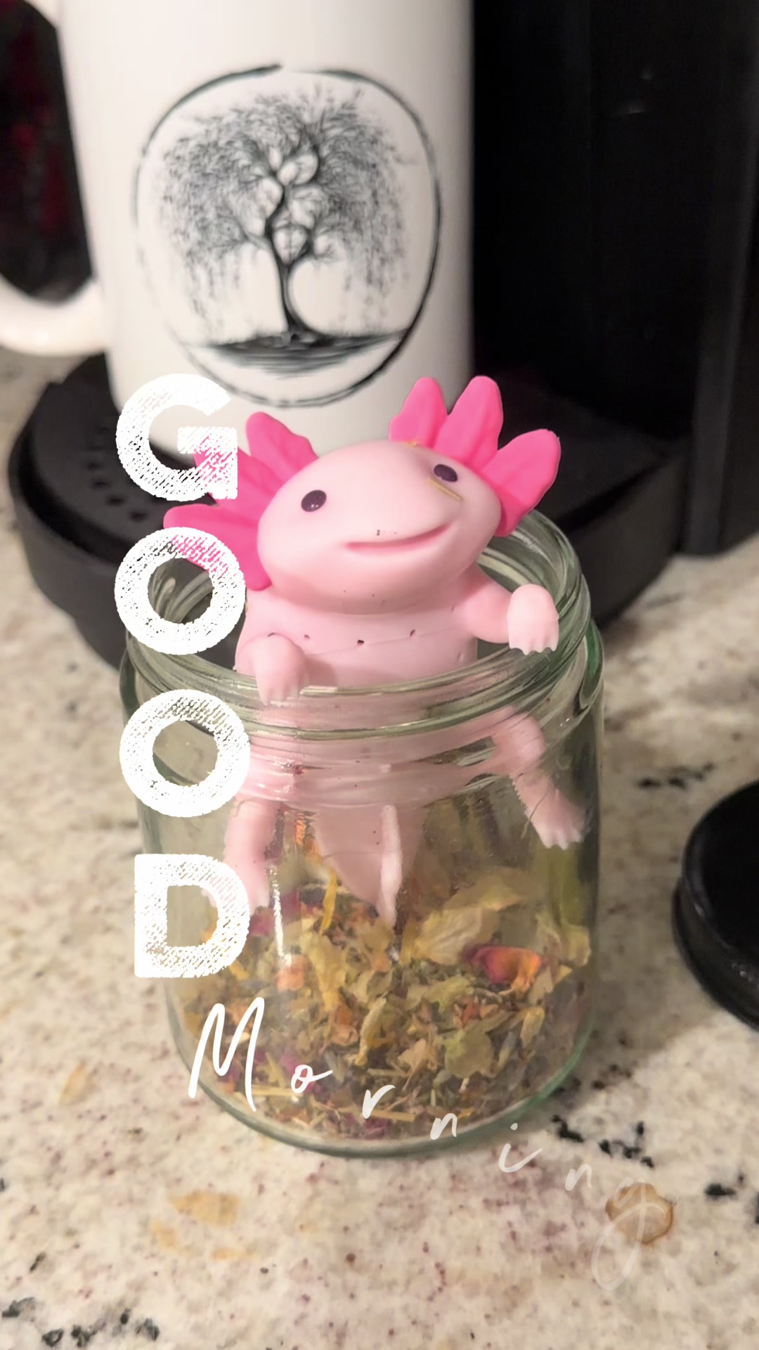 @willowinbloomwellness