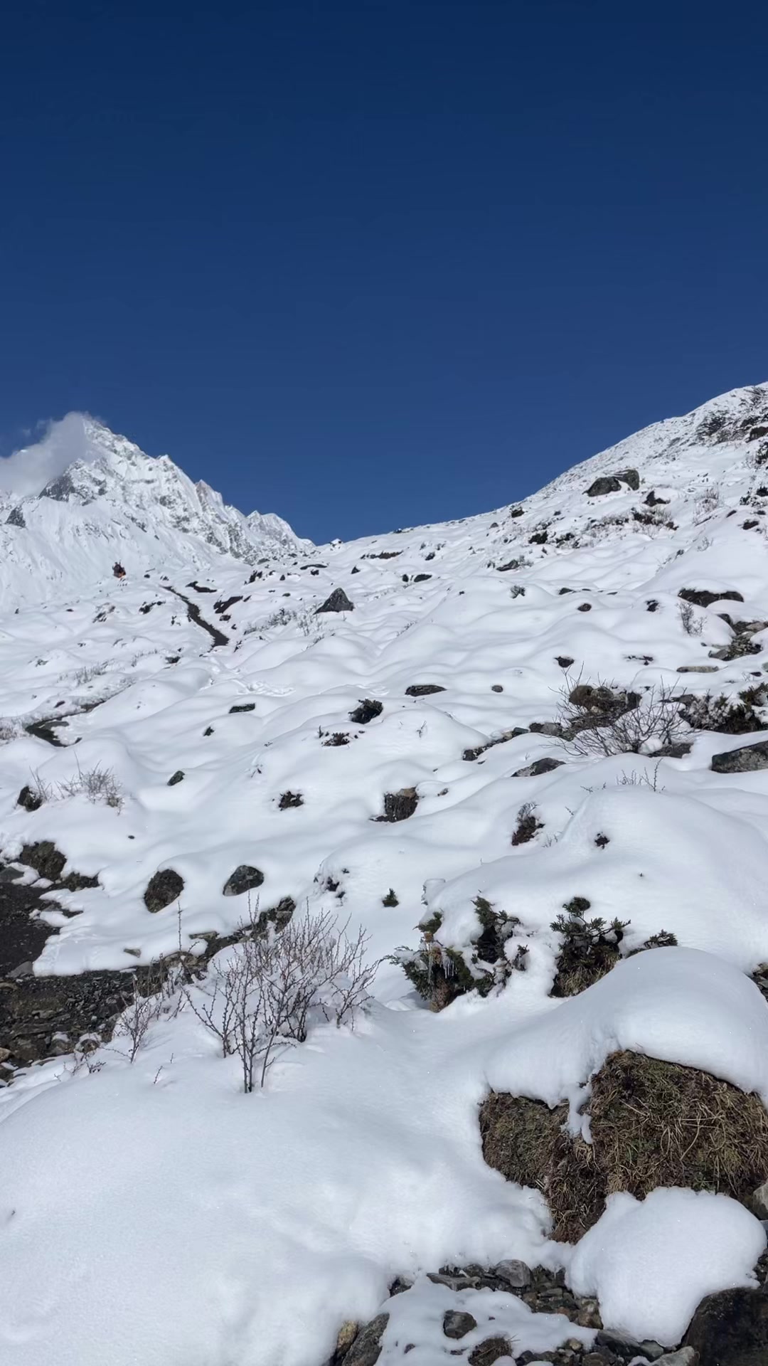 @Rupak Ghale