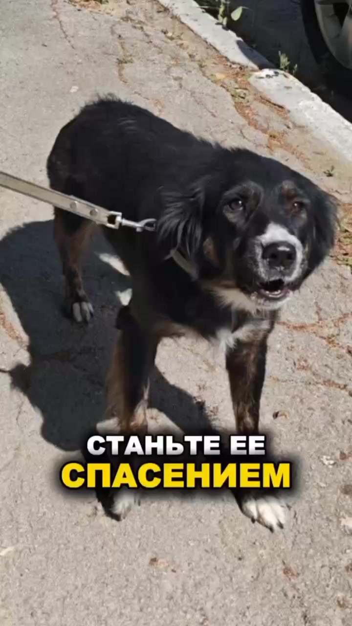 @Танька !)) Я )))😜