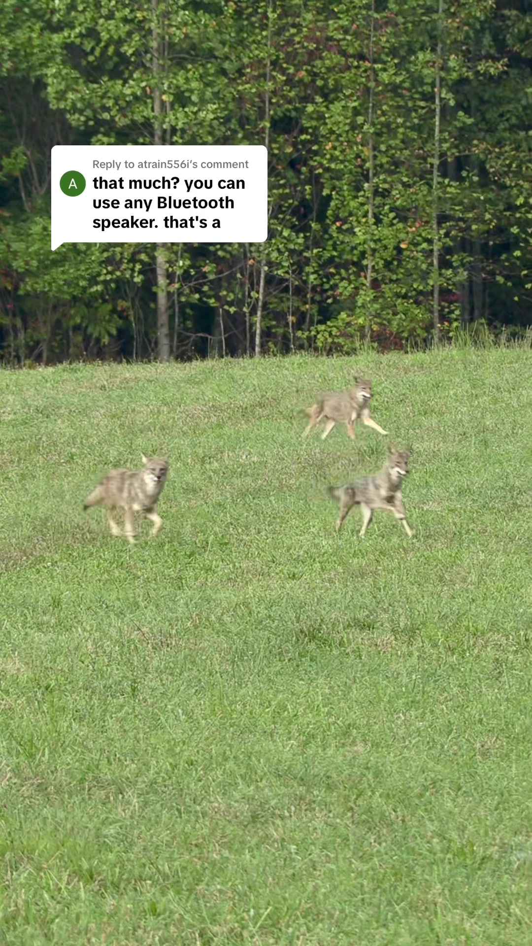 @FOXPRO Game Calls