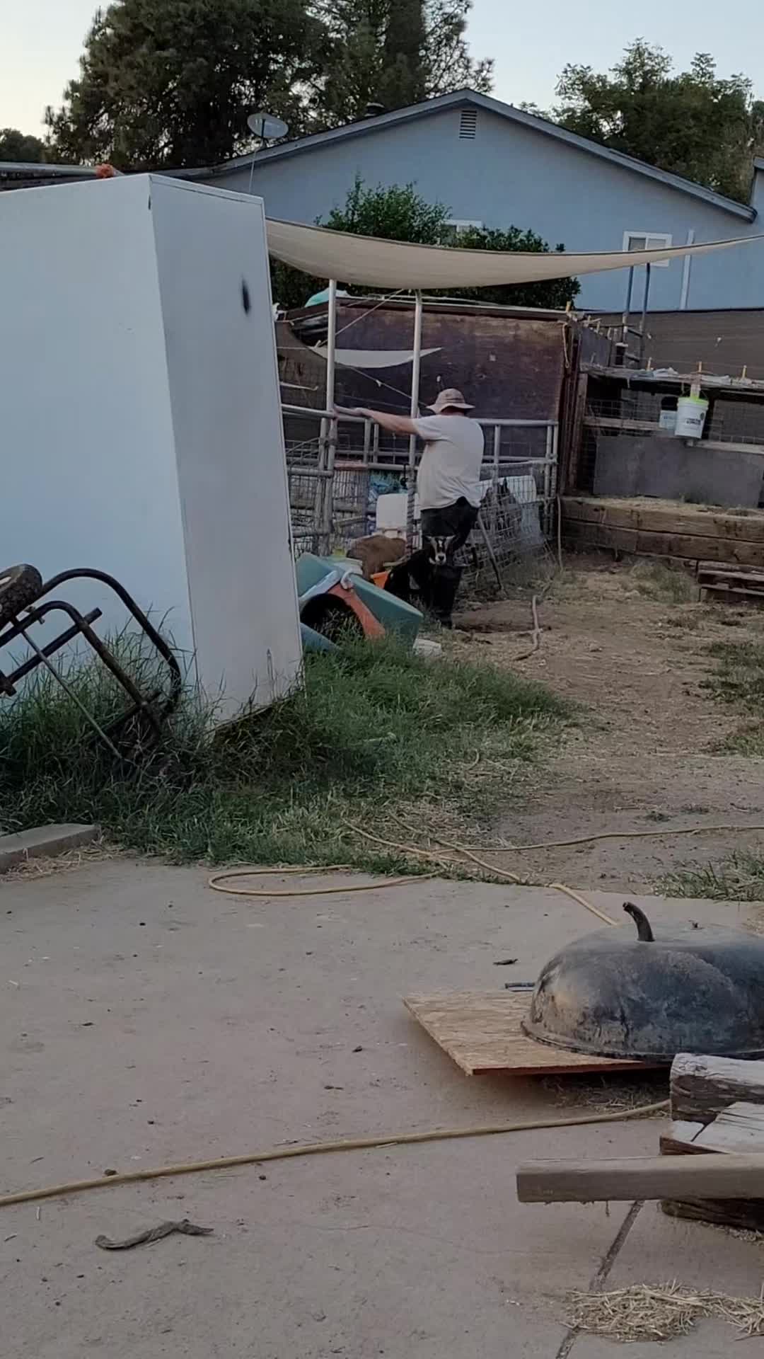 @VioletHorizonsFarm