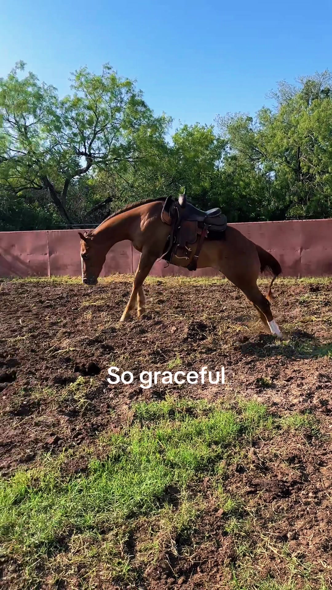 @Grace_elizabethb