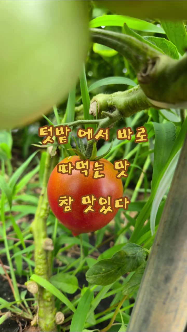 @๐ฐ๐ท๐์ก์ฐํฌ๋์ธ๋๐๐ฐ๐ท