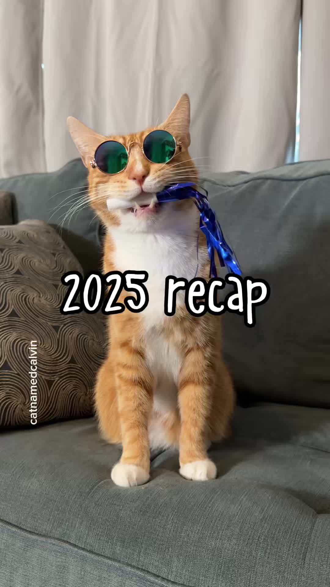 @catnamedcalvin