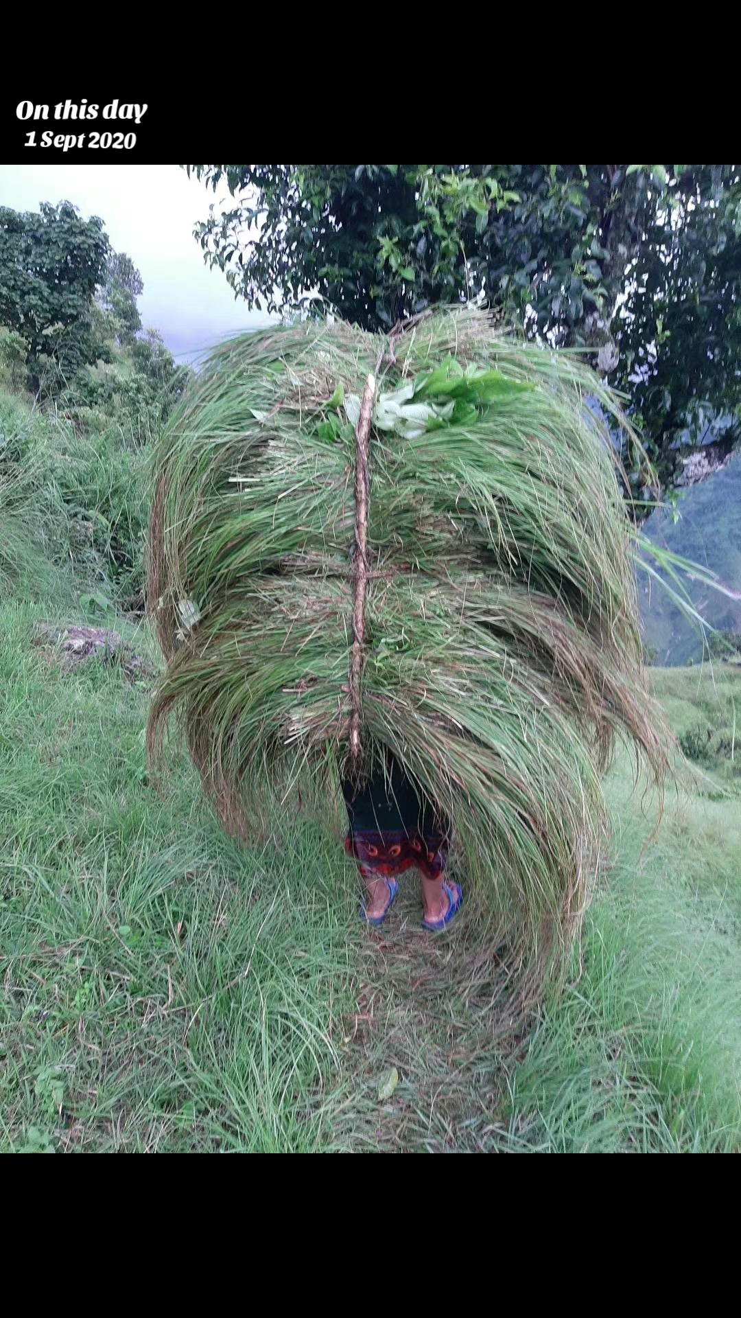 @ऋ...तु,,🌸