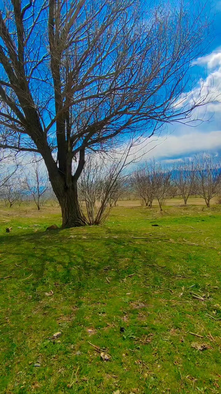 @ismet.ozogul