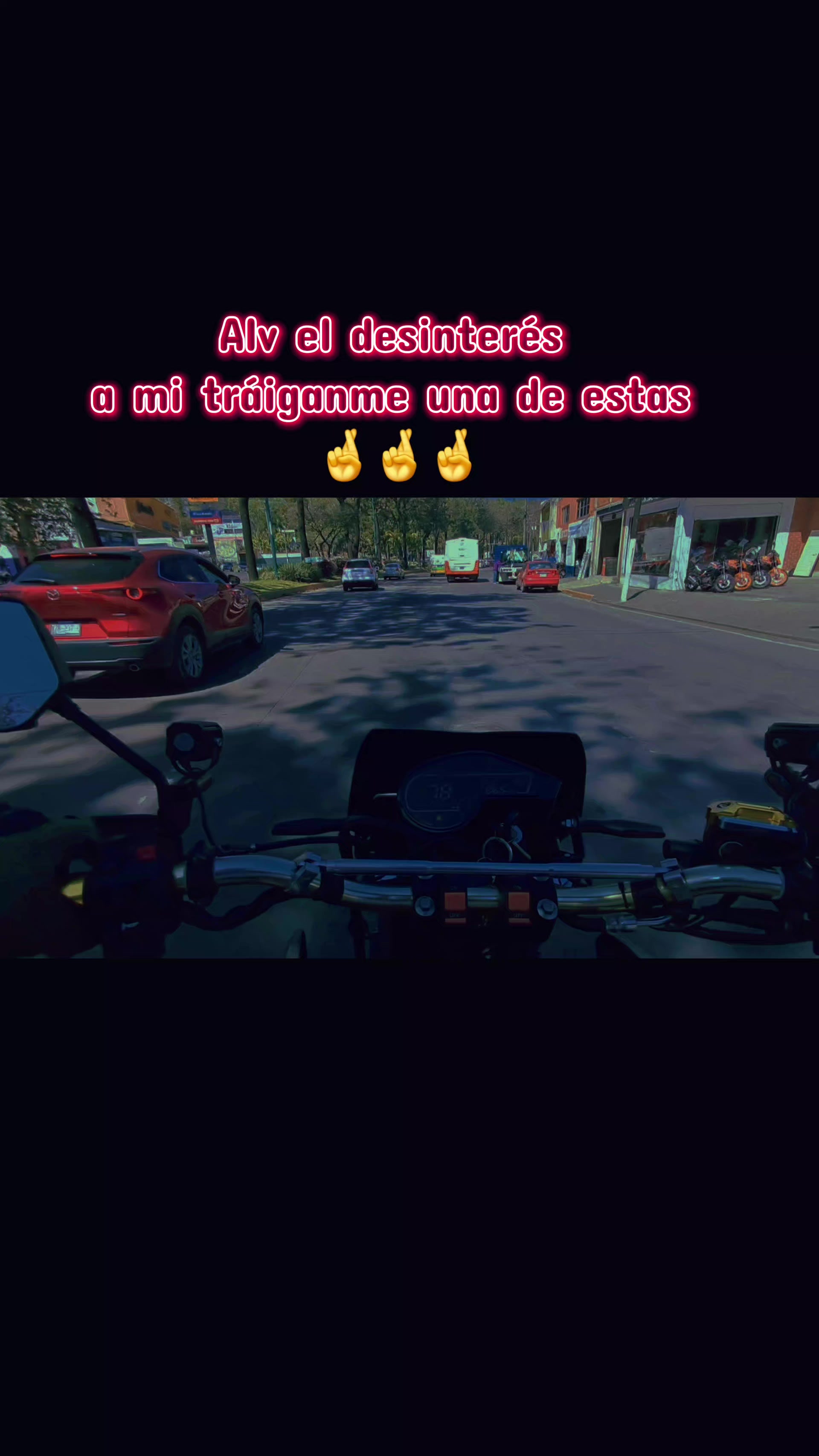 @puni_sher_1