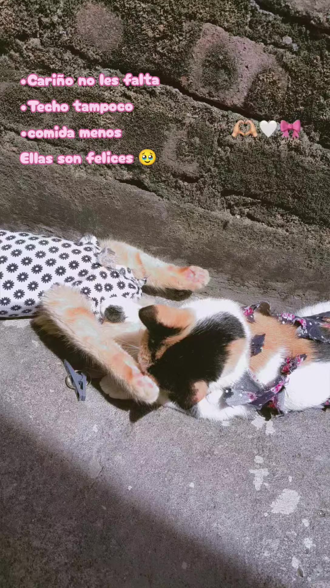 @🇲🇽🌻YANN♥🌻🇲🇽