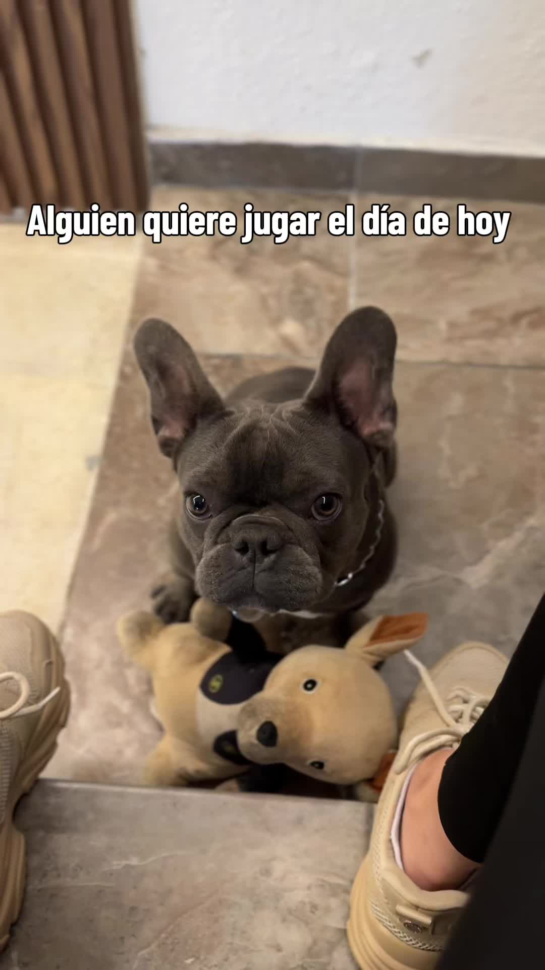 @SoyLupitarhdz