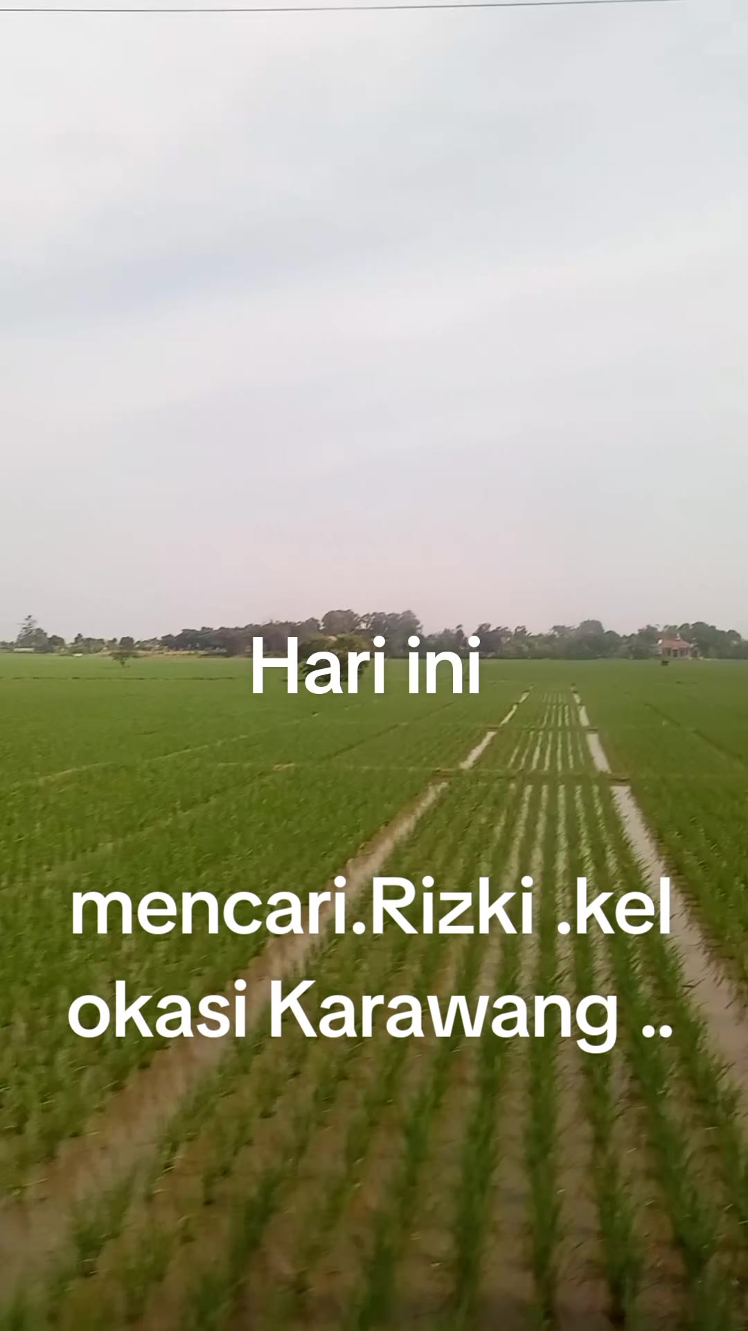 @mmh smdng