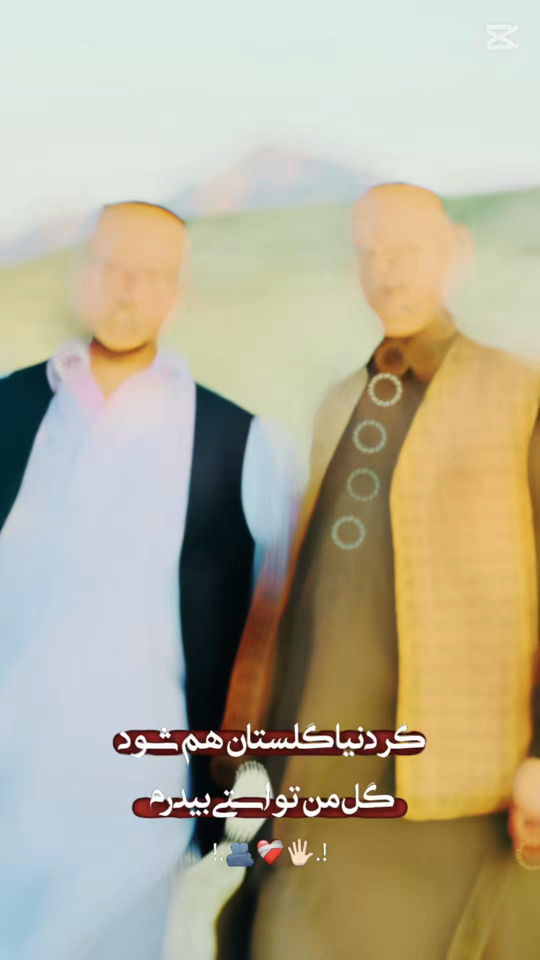 @Reshadsayed