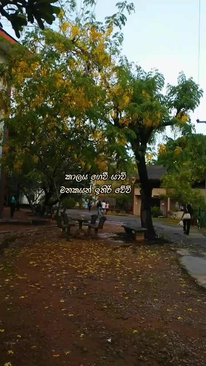 @Yasmini Sudasinghe