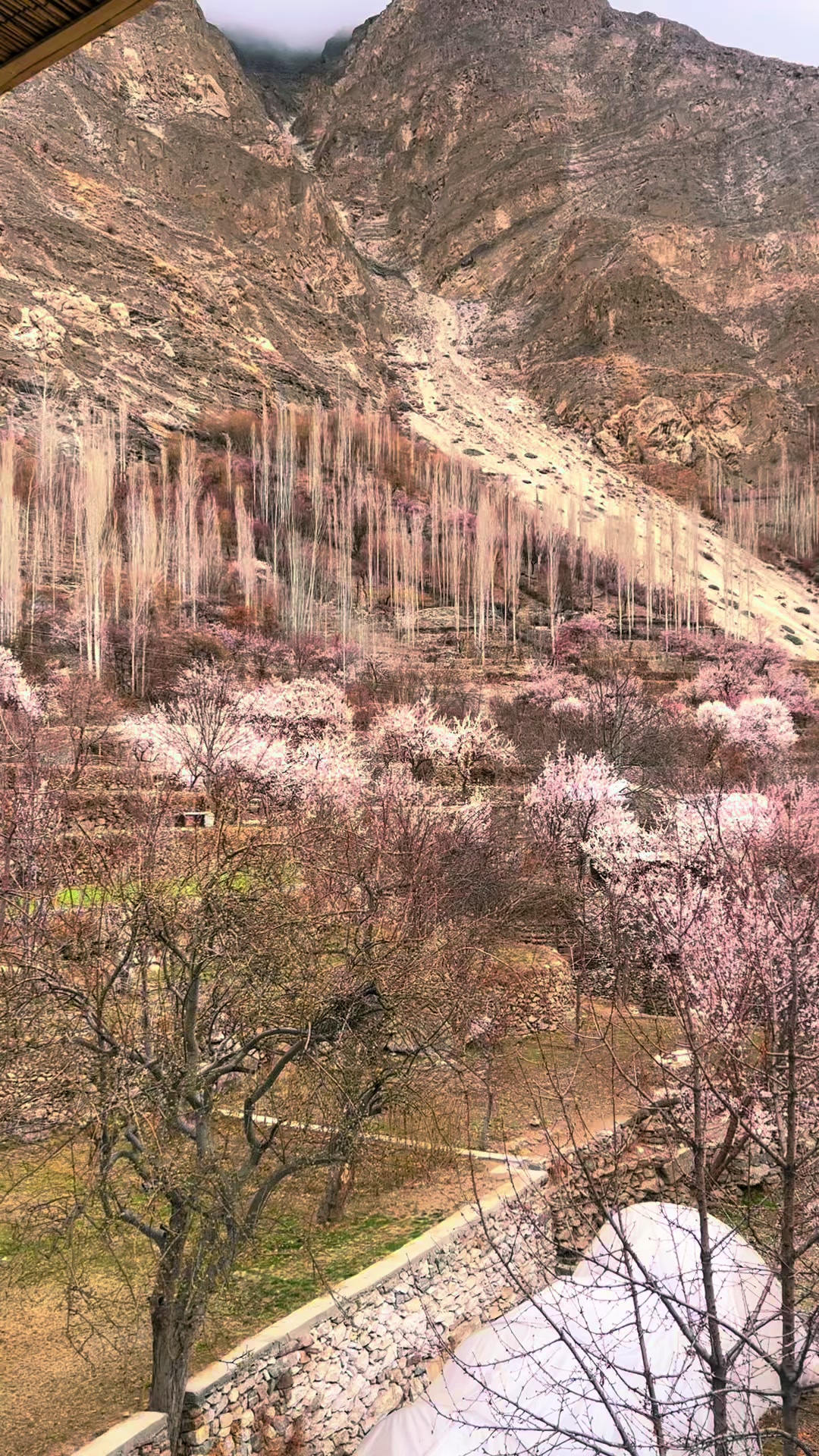 @Mountain Boy Adventures
