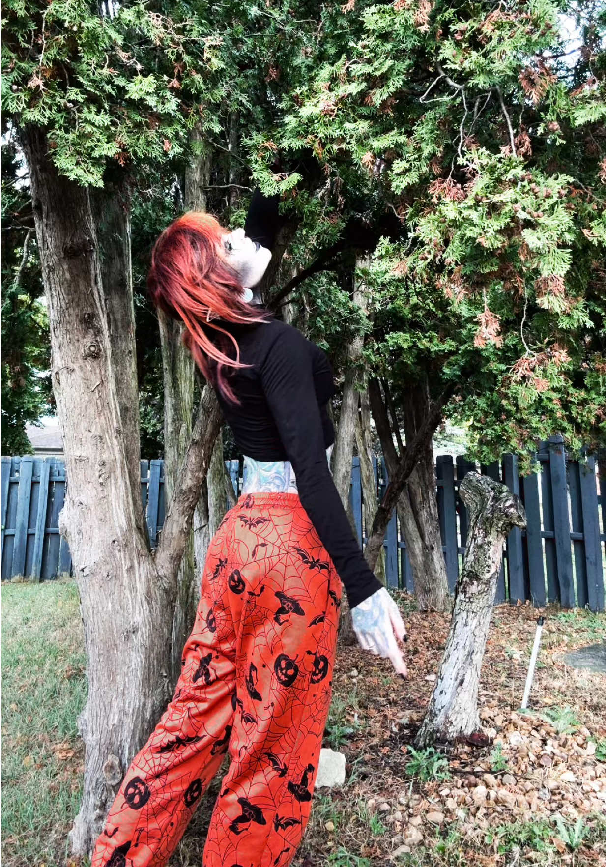 @Holofox
