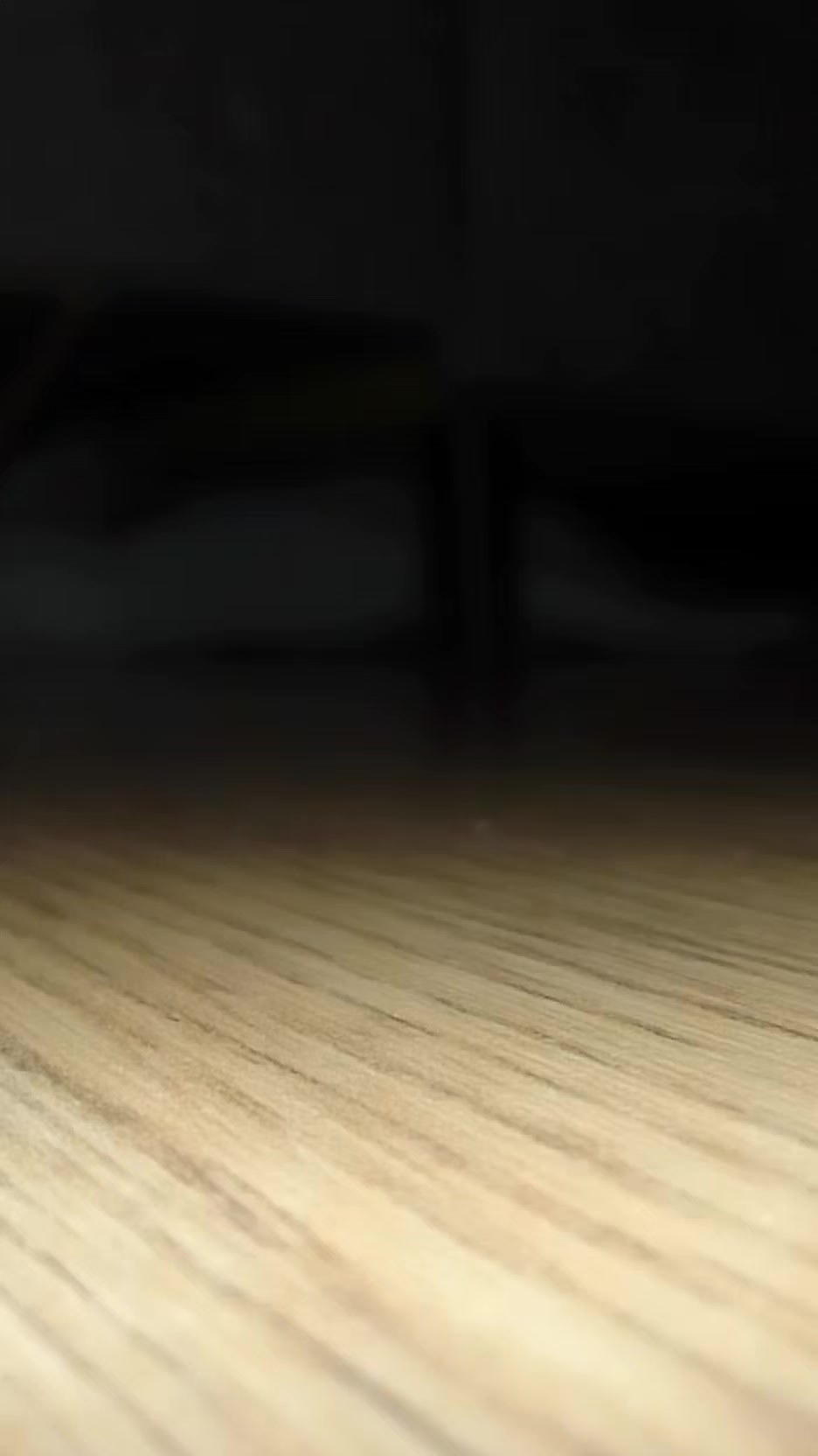 @🐾