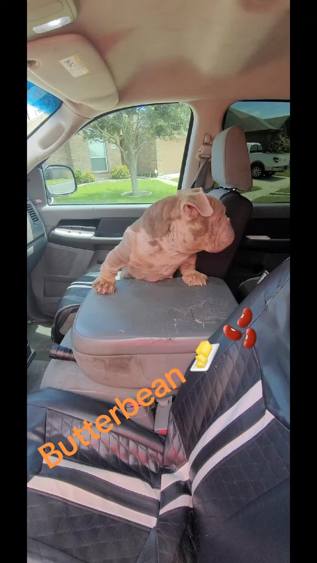 @Crookedcitykennel