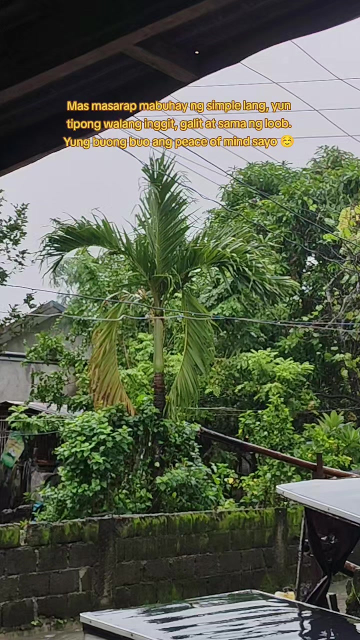 @🍓