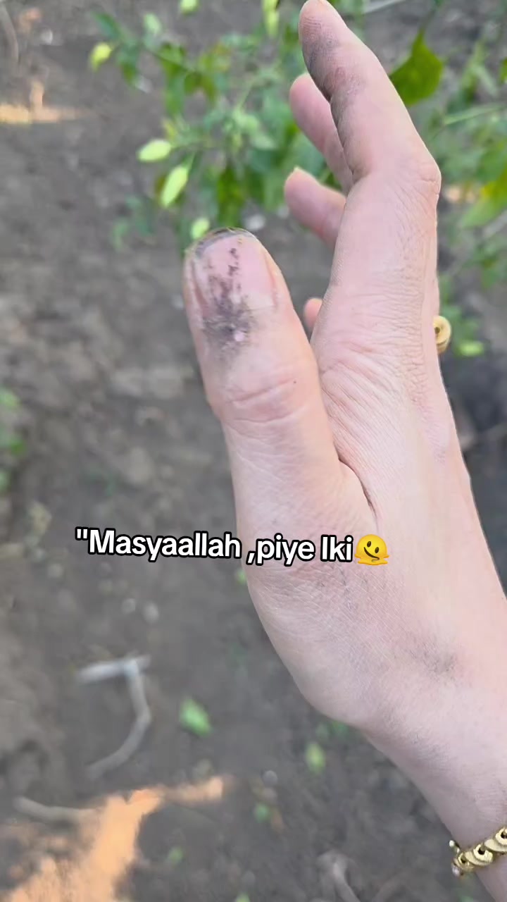 @🦖 vᧉ᩠֗ᧉ᩠֗ dִׂׂׂ݂݂αׂׅׅ🐢